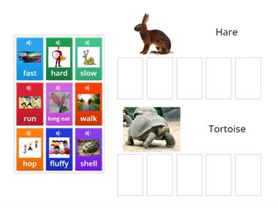 Hare or Tortoise