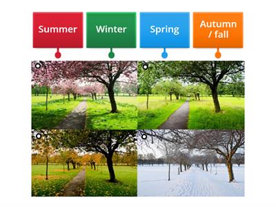 Seasons