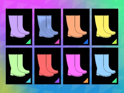 Чоботи Сапоги ССС 1