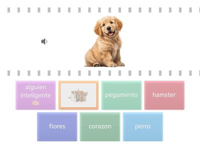 encuentra las mascotas y objetos 