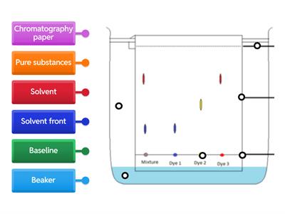 Chromatography Diagram