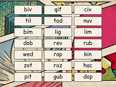  CVC Real & Nonsense Words