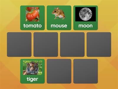 Initial Sound Memory Game