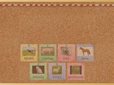 Животиње и младунци