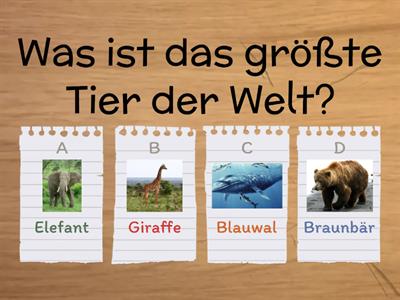 Quizfragen