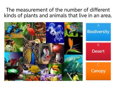 Biodiversity Quick Review