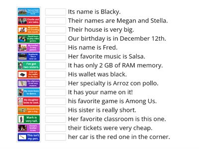 Possessive Adjectives 