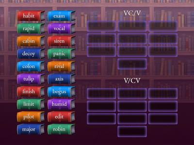 VCV Syllable Division Sort