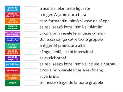 Evaluare - Circulația