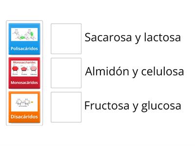 Carbohidratos (Resultado de práctica de laboratorio 2)