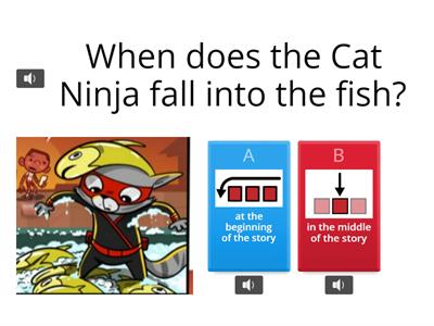 Cat Ninja Comprehension TEST