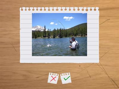 Kid's Box 3 Unit 6 - Vocabulary flash cards