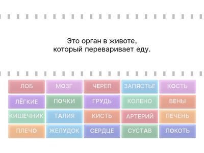 ЧАСТИ ТЕЛА и ОРГАНЫ 🦴🫳🫁🫀🧠