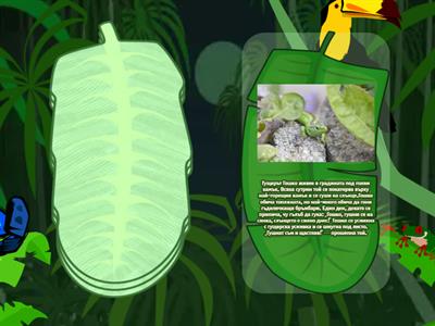 Кратки текстчета с Ш