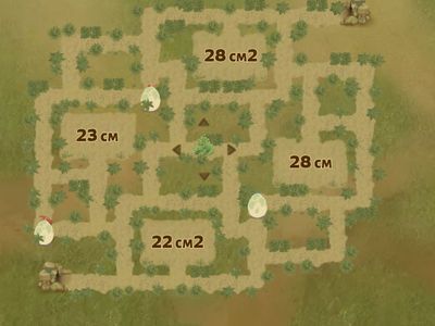 Периметр, площа