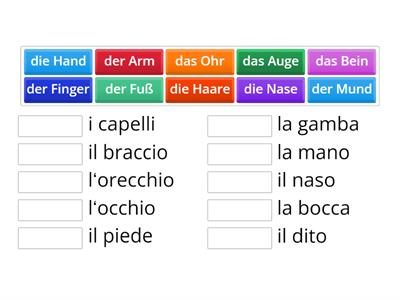 le parti del corpo in tedesco