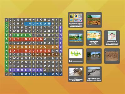 Wordsearch vocab 21 - 40