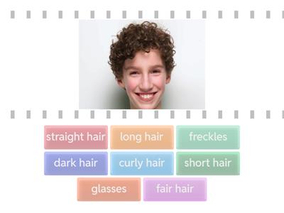 Beehive 3  our friends