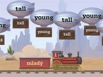  AJ - Popis osoby - vláček