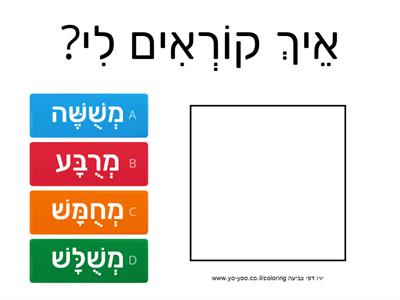  מצולעים 