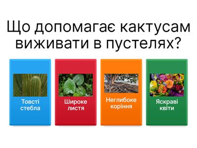 Вікторина «Адаптація рослин»