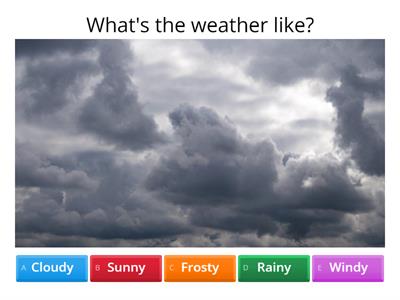 What's the weather like?