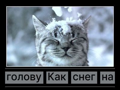 Фразеология