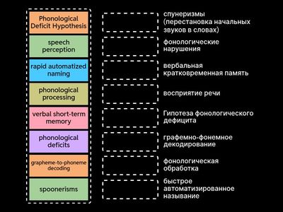 Article 6. Dyslexia. Key words