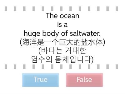 True or False (真或假) (참 또는 거짓)