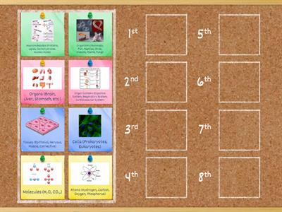 Hierarchy of Life (1 is smallest, 8 is largest)