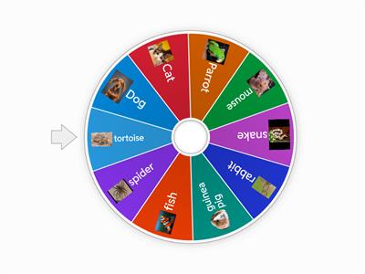 basic 1 initial - pet