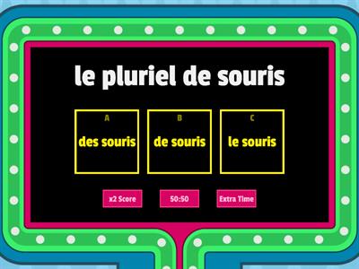 le pluriel des noms en francais