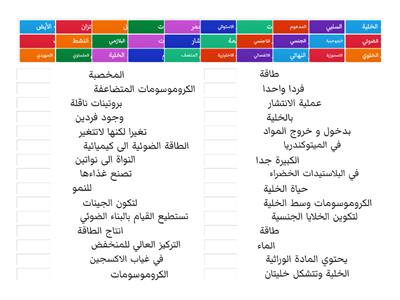 مراجعة أنشطة الخلية 