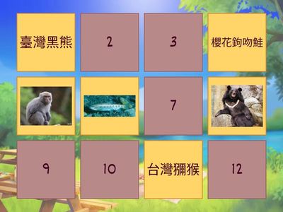 台灣特有種動物