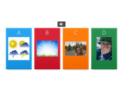 Weather vocab matching Quiz