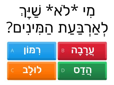  סוכות חידון 