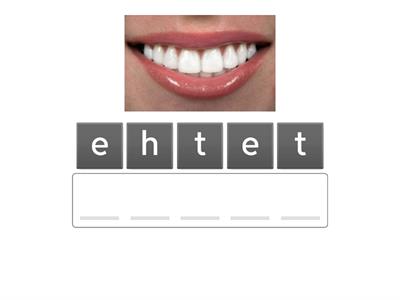 Emily Anagrams -ee, -ai, -ay, -ey