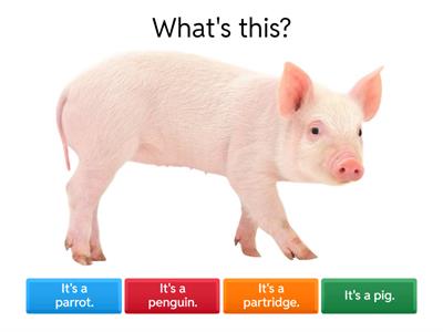 Animal Names in English