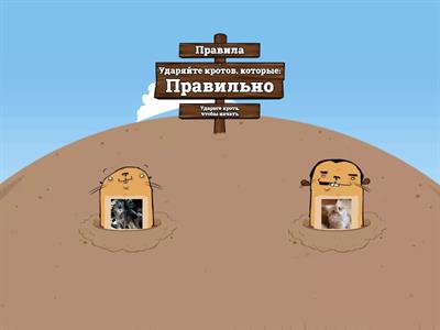 Дикие животные