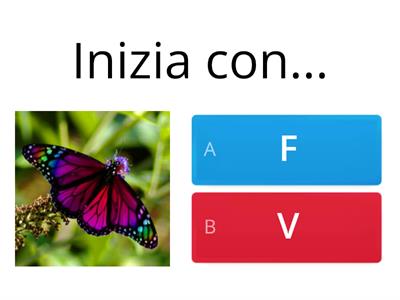 F o V? Scegli la lettera iniziale corretta.