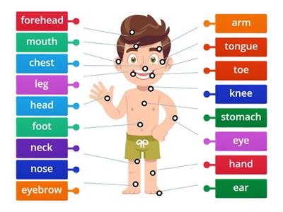 SM2 U8 Sports - Body parts labelled diagram