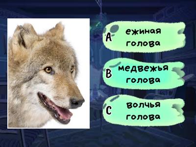 Лесные животные: Чья голова?