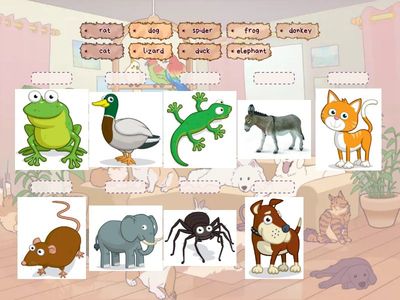  Super Minds  2. Pet show