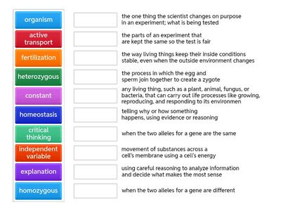 Weekly Review Vocabulary