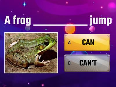 CAN AND CANT- ANIMALS