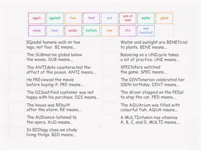 Word Roots & Affixes