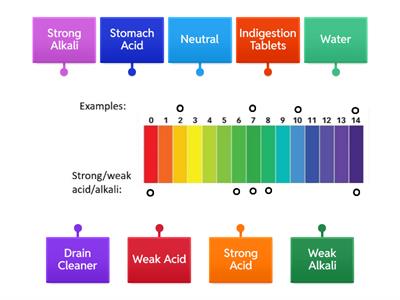 pH Scale