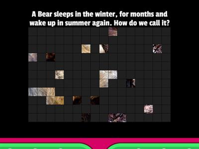 Behavioral  x Structural adaptation