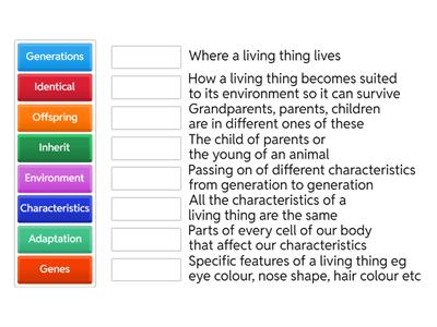 Evolution and Inheritance Year 6