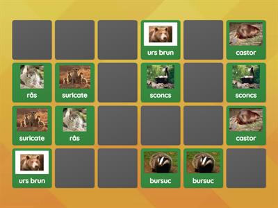 Memo animale cu sunetul ,,s”
